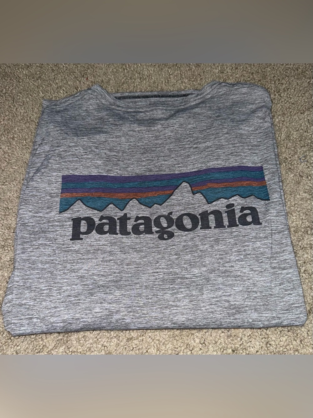 Patagonia Capilene Cool Daily